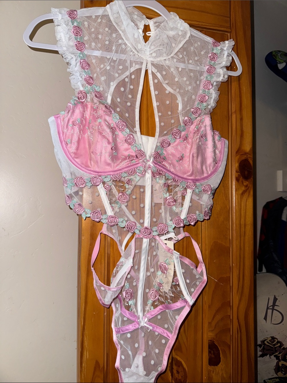 Sheer Pink Rose-Embroidered Lace Teddy Bodysuit - Women Intimates